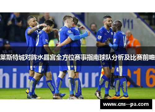 莱斯特城对阵水晶宫全方位赛事指南球队分析及比赛前瞻