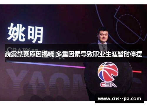 魏震禁赛原因揭晓 多重因素导致职业生涯暂时停摆