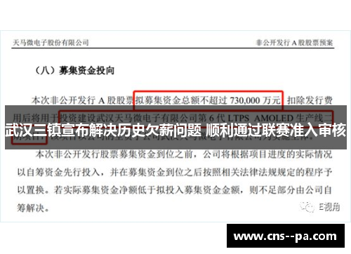 武汉三镇宣布解决历史欠薪问题 顺利通过联赛准入审核