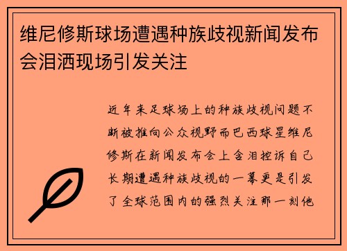 维尼修斯球场遭遇种族歧视新闻发布会泪洒现场引发关注